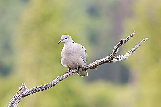cách đánh lô chắc ăn