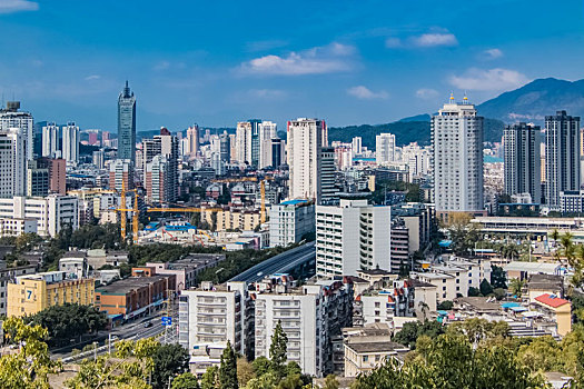 bạch thủ lô tô